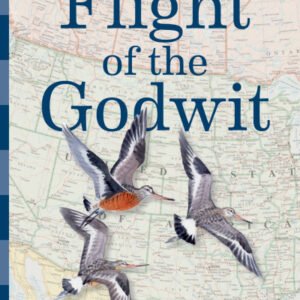 (eBook) Flight of the Godwit: Tracking Epic Shorebird Migrations By Bruce M. Beehler
