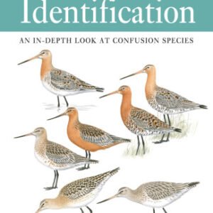 (eBook) The Helm Guide to Bird Identification By Keith Vinicombe